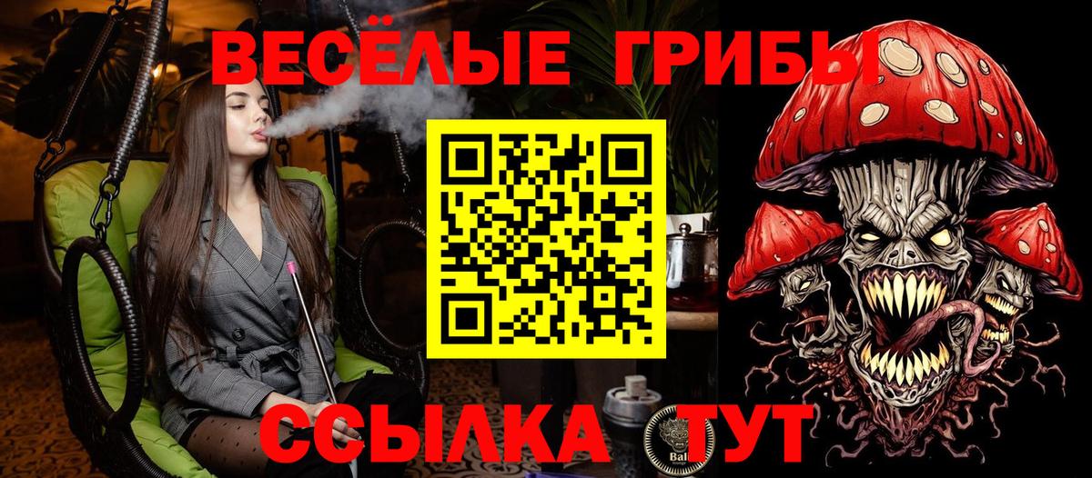 Псилоцибиновые грибы MAGIC MUSHROOMS  Вход с VPN  Ялуторовск 